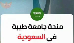 منحة جامعة طيبة في السعودية 